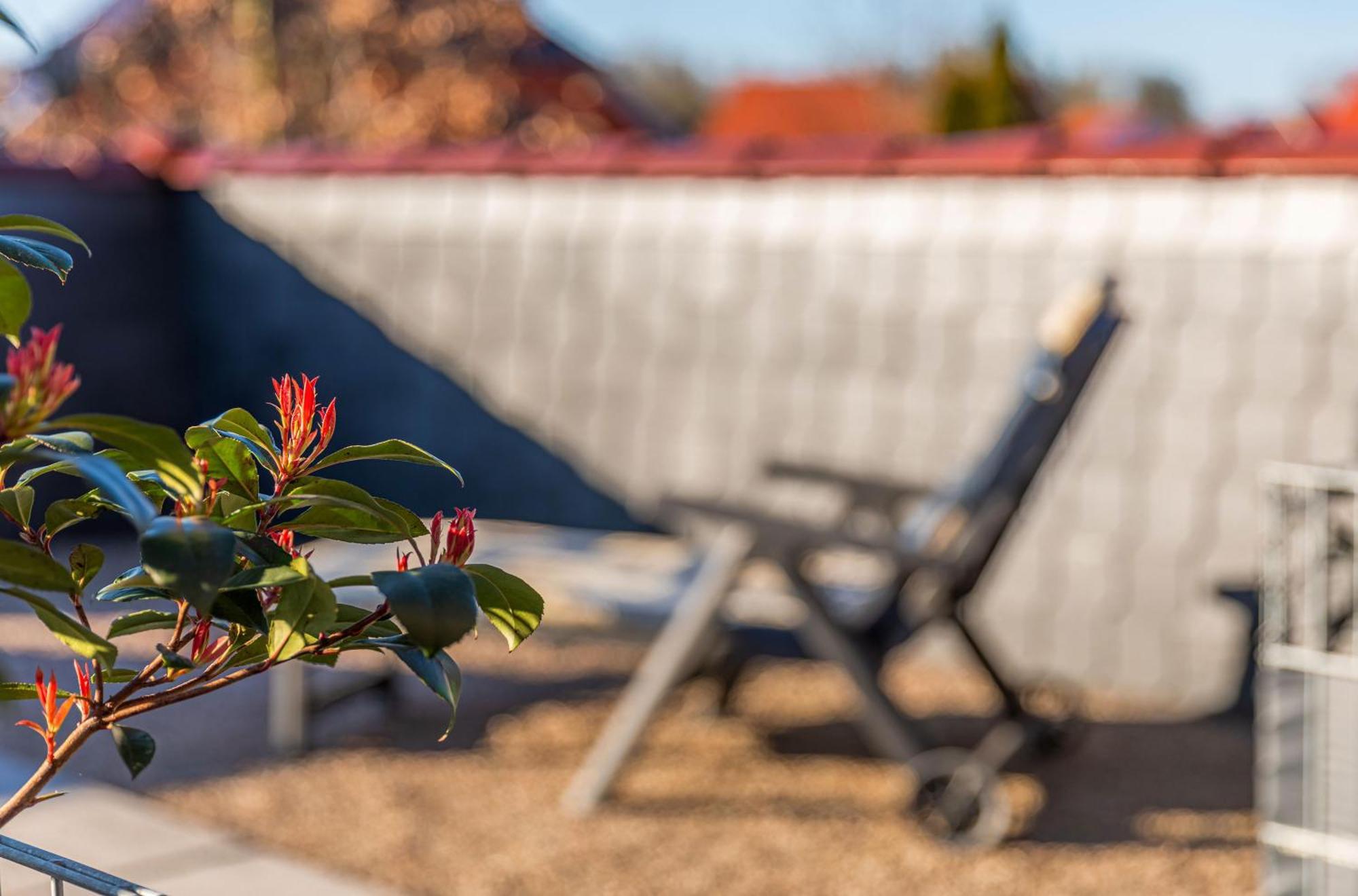 Sonnendeck Im Luftkurort Klink Lägenhet Exteriör bild