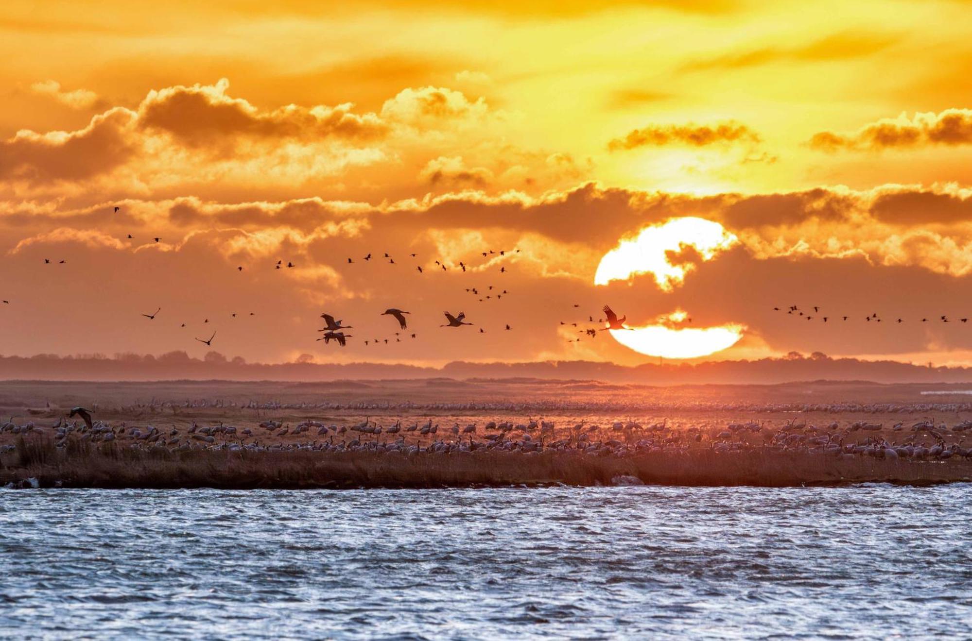 Sonnendeck Im Luftkurort Klink Lägenhet Exteriör bild
